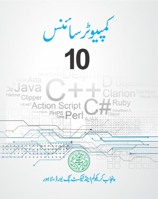 Computer Science Class 10th Textbook PDF